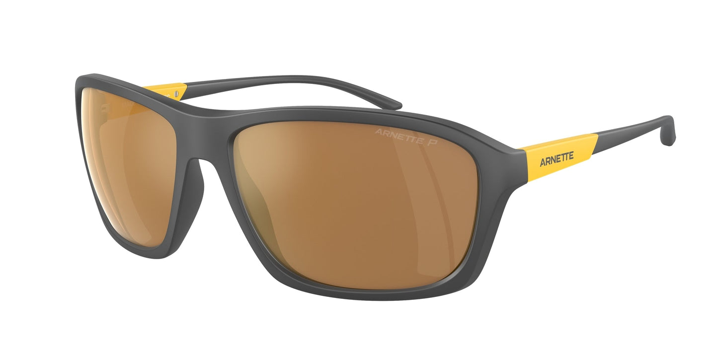 Gafas de sol Arnette AN4329 28702T