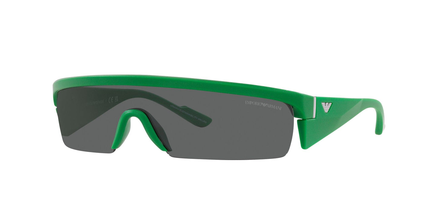 Gafas de sol Armani EA4204U 601187