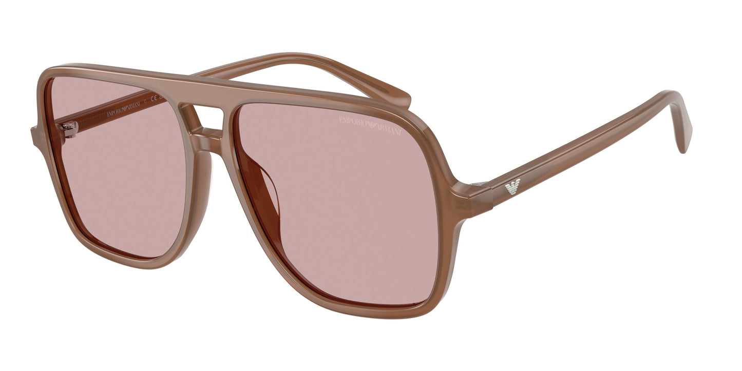 Gafas de sol Armani EA4252U 627173