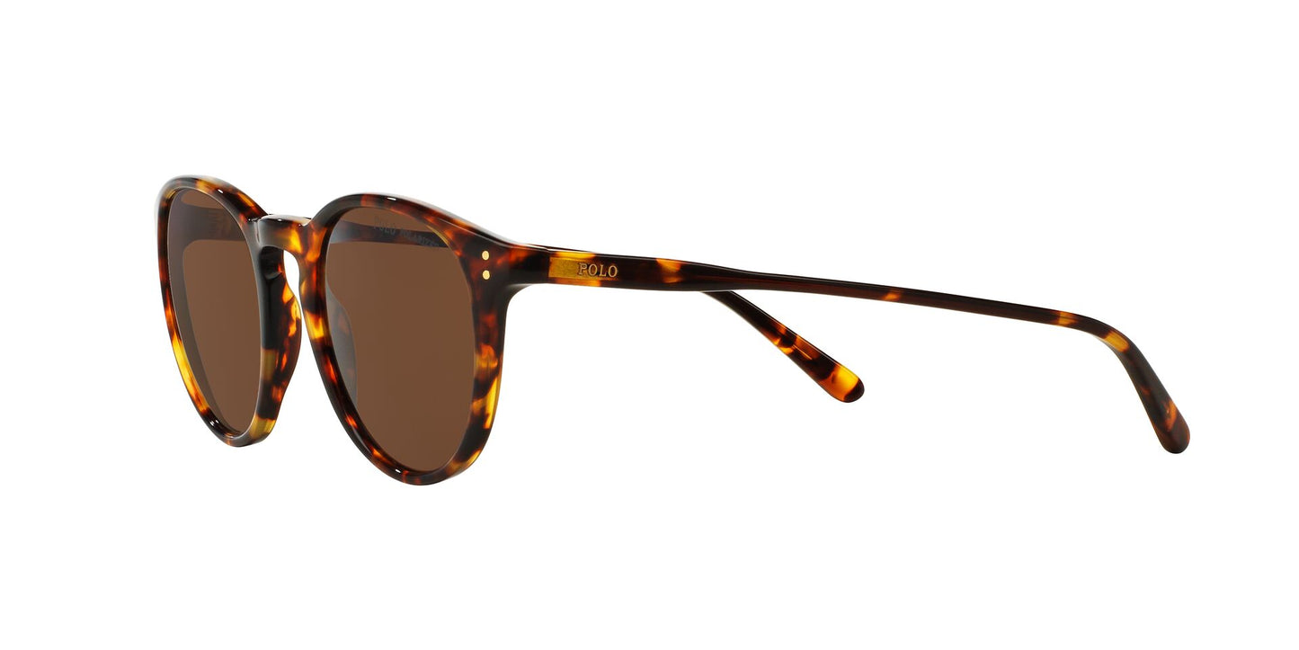 Gafas sol POLO RALPH LAUREN 0PH4110 513483