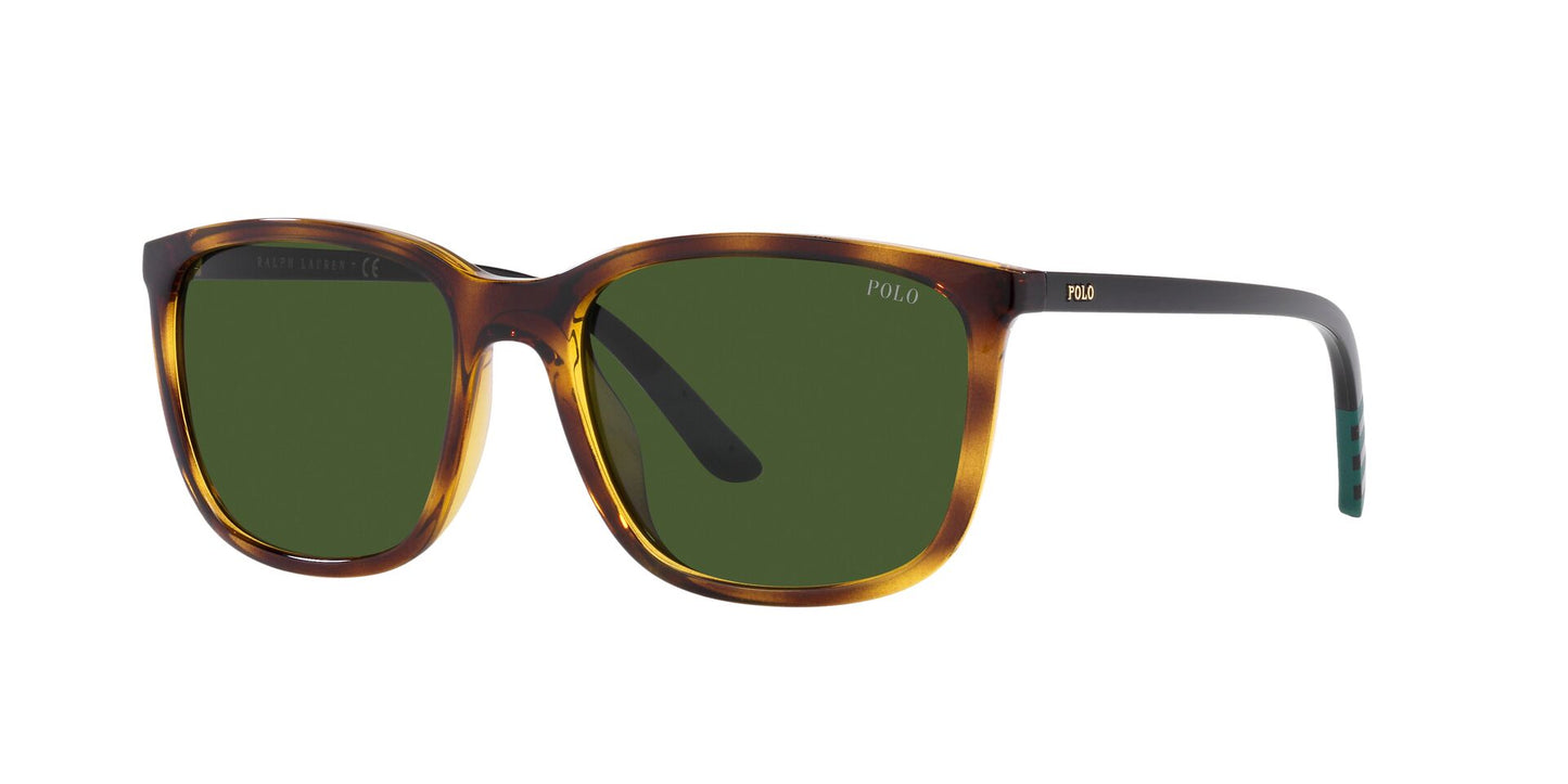 Gafas sol POLO RALPH LAUREN 0PH4185U 500371