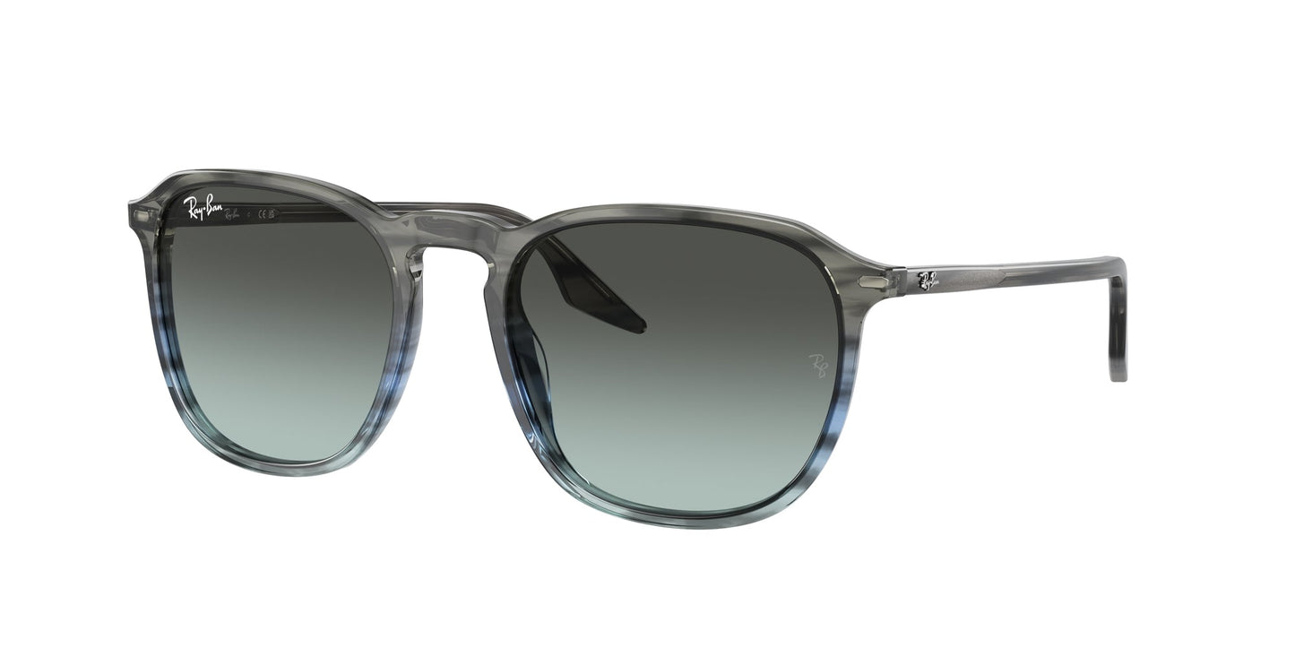 Ray Ban RB2203 1391GK