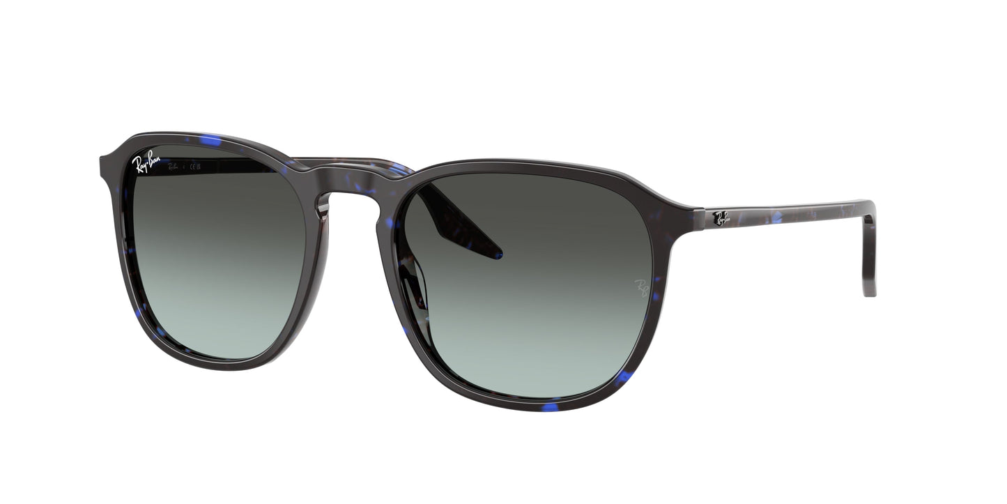 Ray Ban RB2203 1430GK