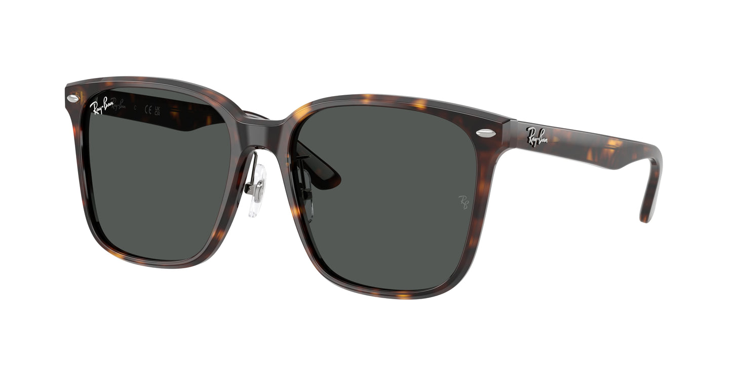 Ray Ban RB2206D 710/87