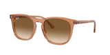 Ray-Ban RB2210 676451