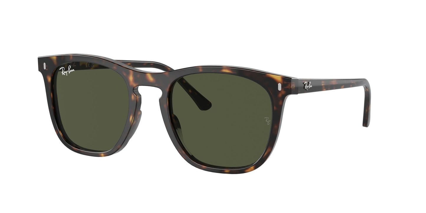 Ray Ban RB2210 902/31