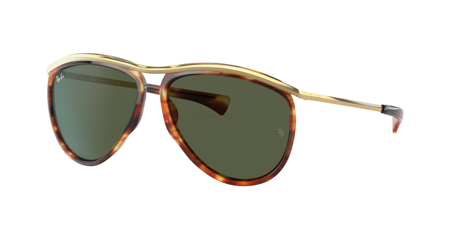 Ray Ban RB2219 954/31