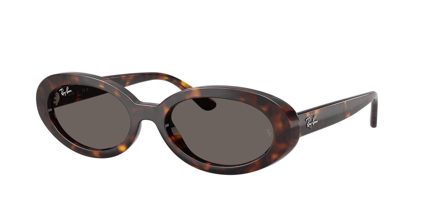 Ray Ban RB2223 902/B1