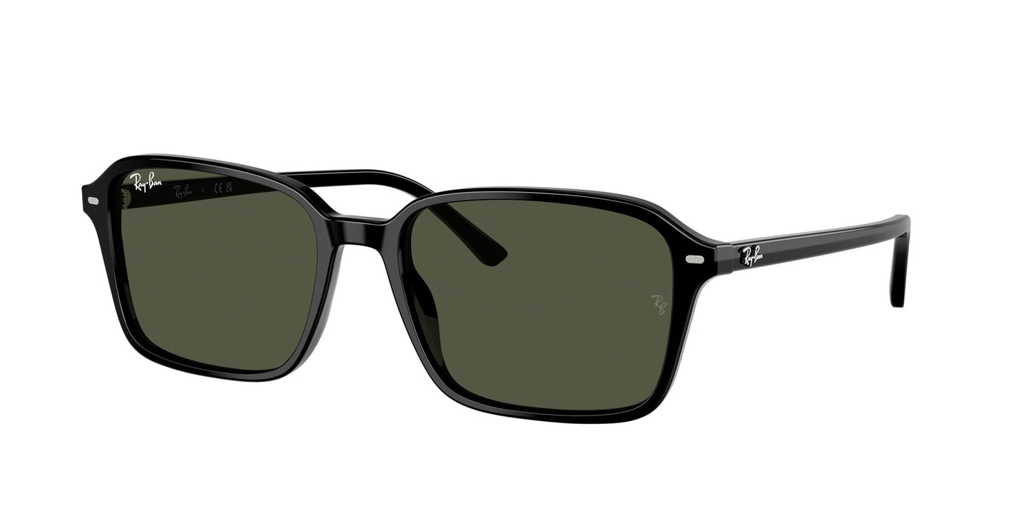 Ray Ban RB2231 901/31