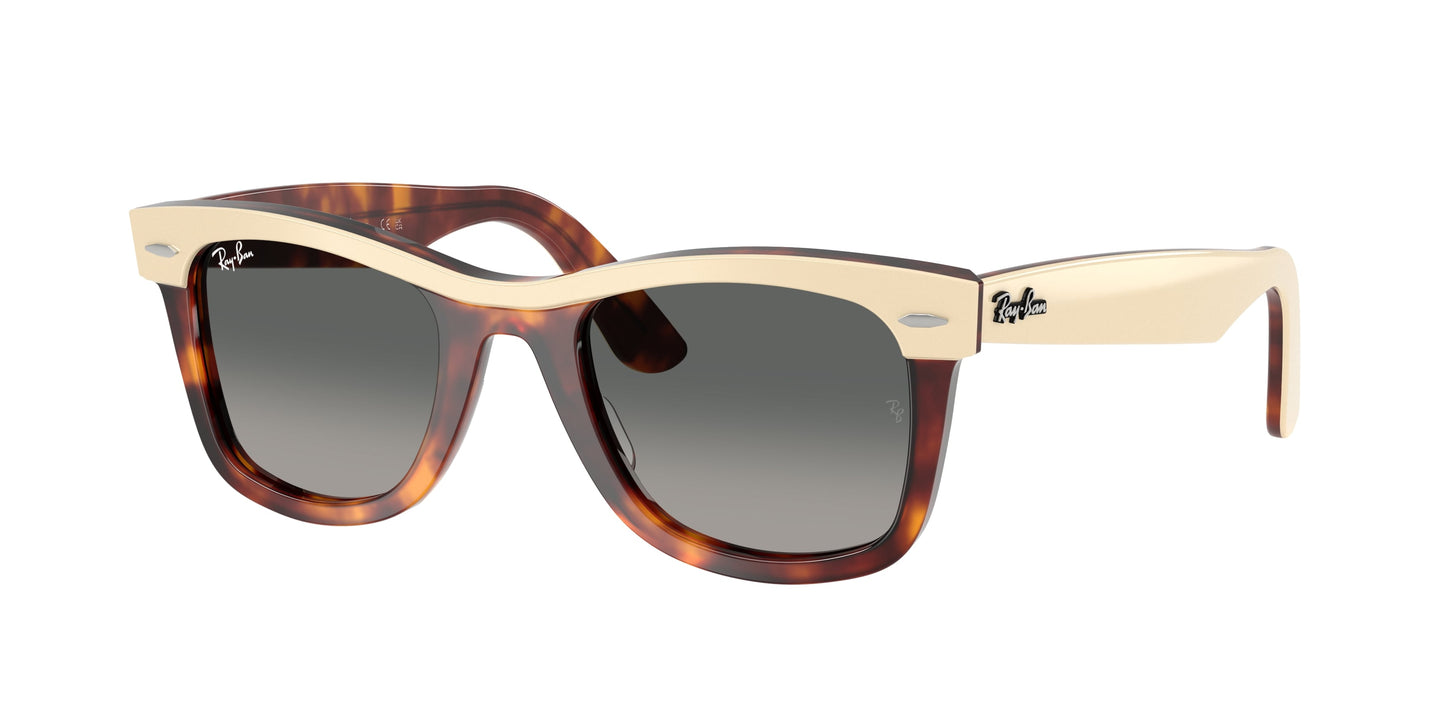 Ray Ban RB2240 144371