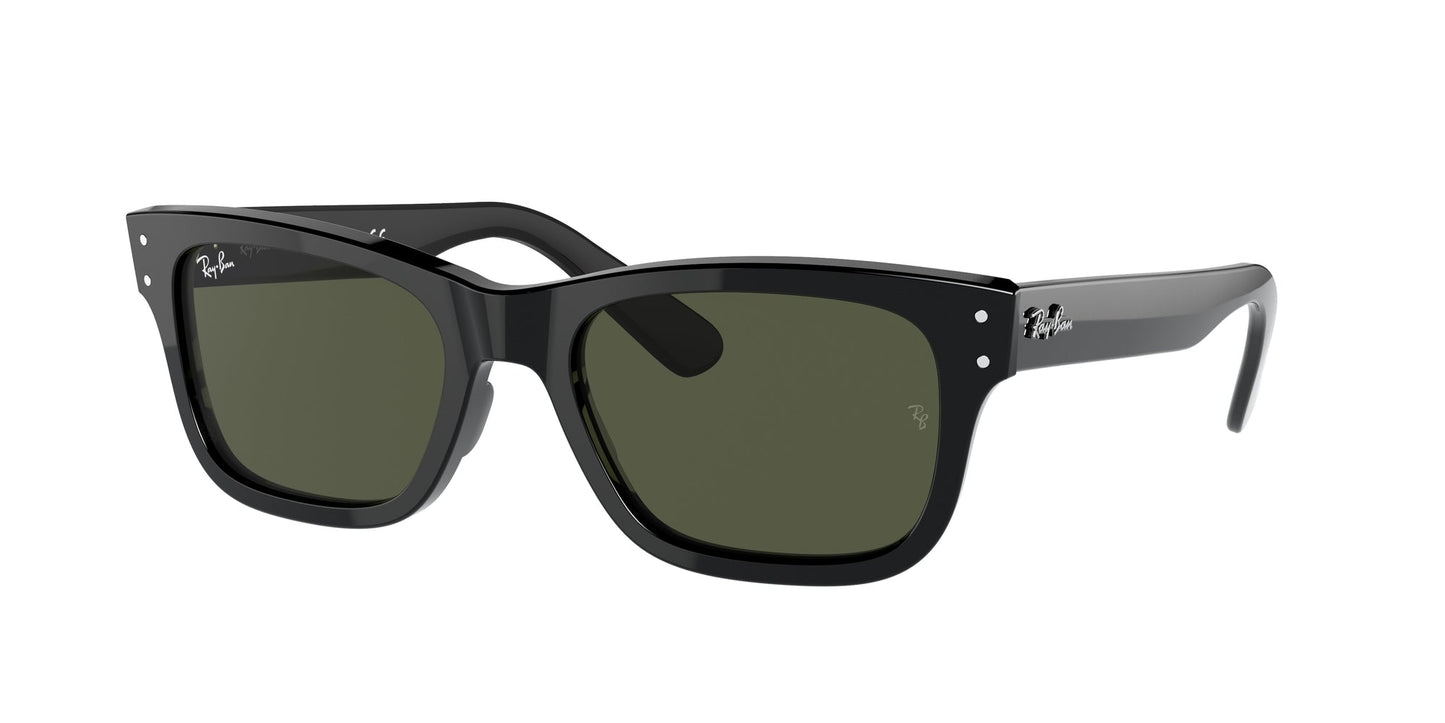Ray Ban RB2283 901/31