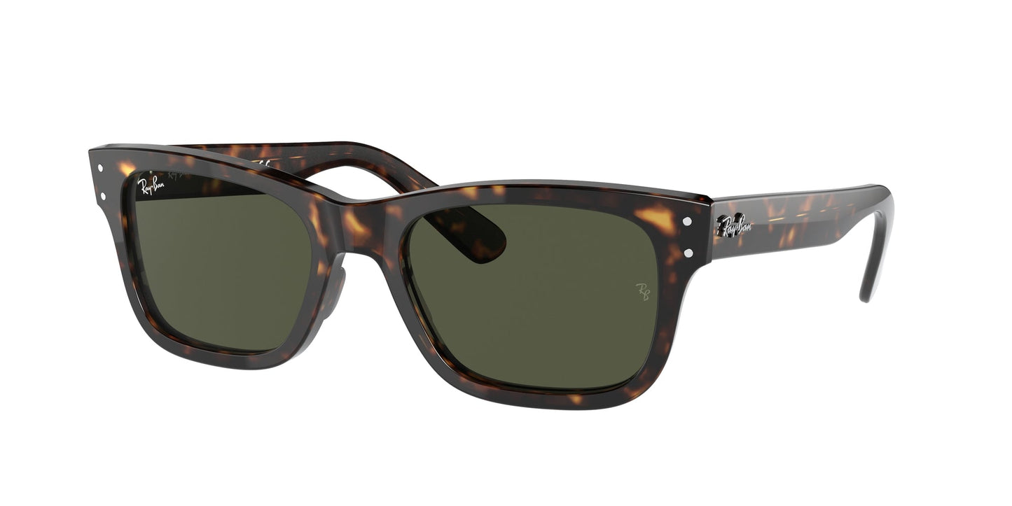 Ray Ban RB2283 902/31