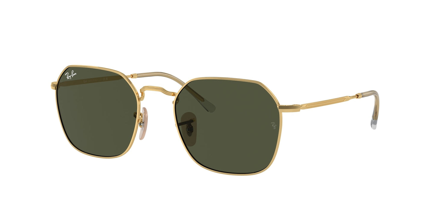 Ray Ban RB3694 001/31