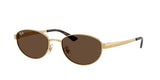 Ray-Ban RB3774D 001/73
