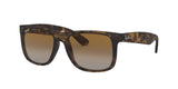 Ray-Ban RB4165 865/T5
