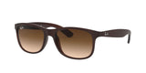 Ray-Ban RB4202 607313