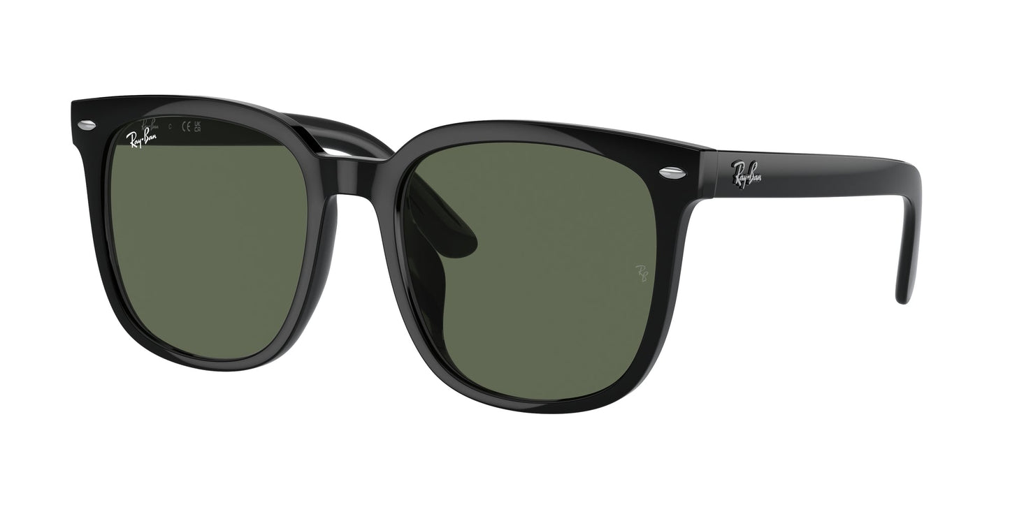 Ray Ban RB4401D 601/71