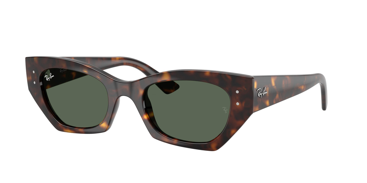 Ray Ban RB4430 135971