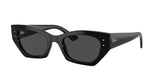 Ray-Ban RB4430 667787