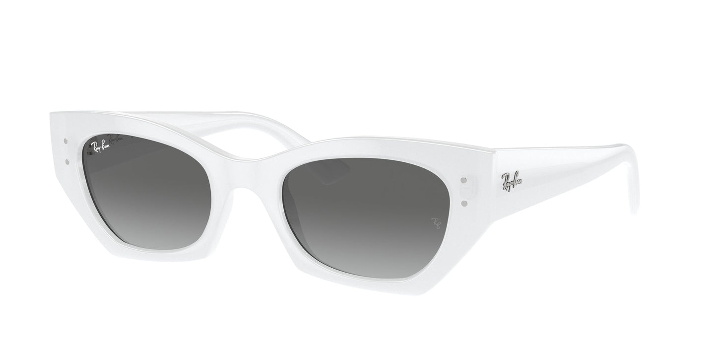 Ray Ban RB4430 675911