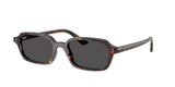 Ray-Ban RB4455 135987