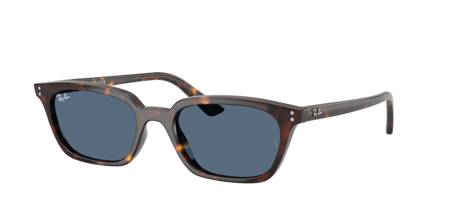 Ray Ban RB4456 135980
