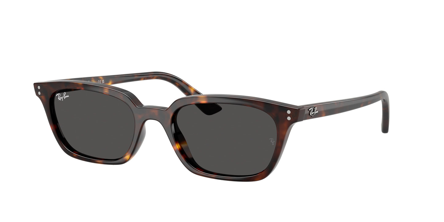 Ray Ban RB4456 135987