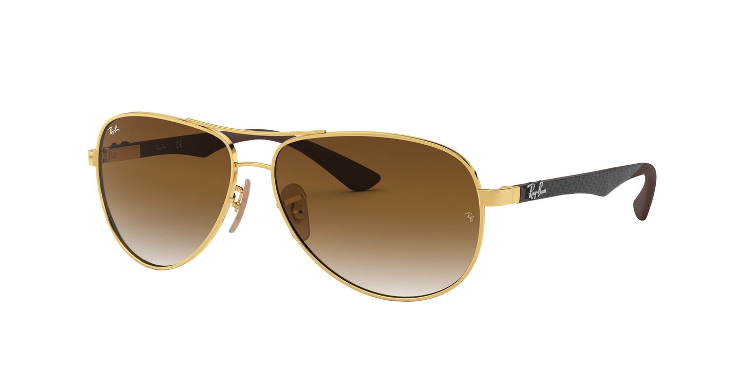 Ray Ban RB8313 001/51