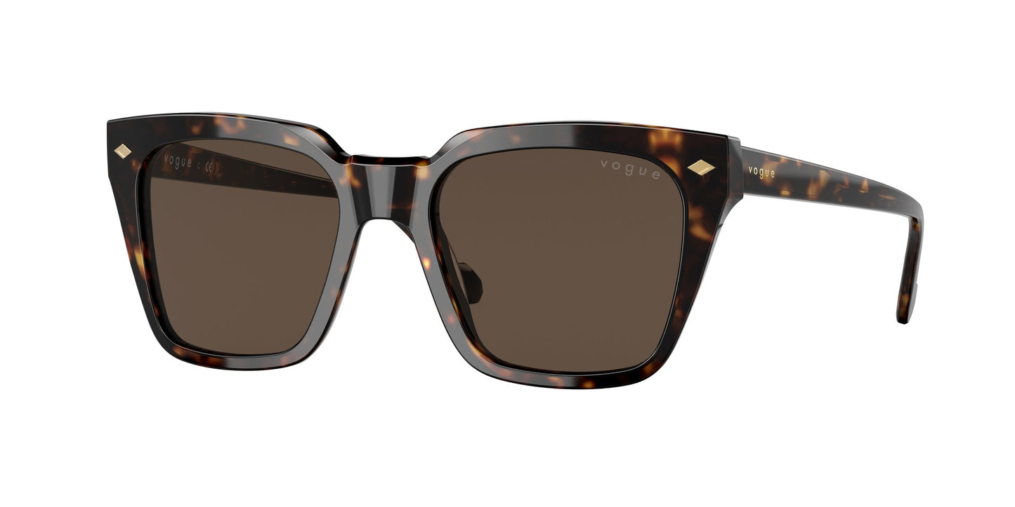 Gafas de sol Vogue VO5380S W65673
