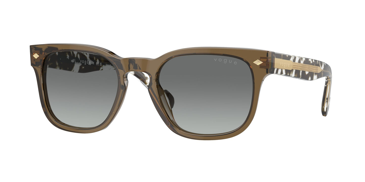 Gafas de sol Vogue VO5571S 314411