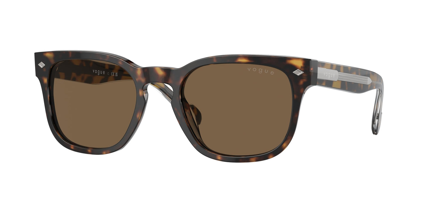 Gafas de sol Vogue VO5571S W65673