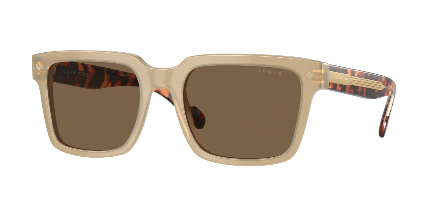 Gafas de sol Vogue VO5573S W90073