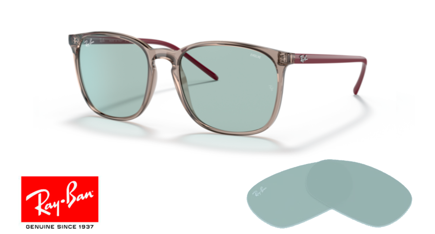 Cristaux Ray Ban 4387 Originaux