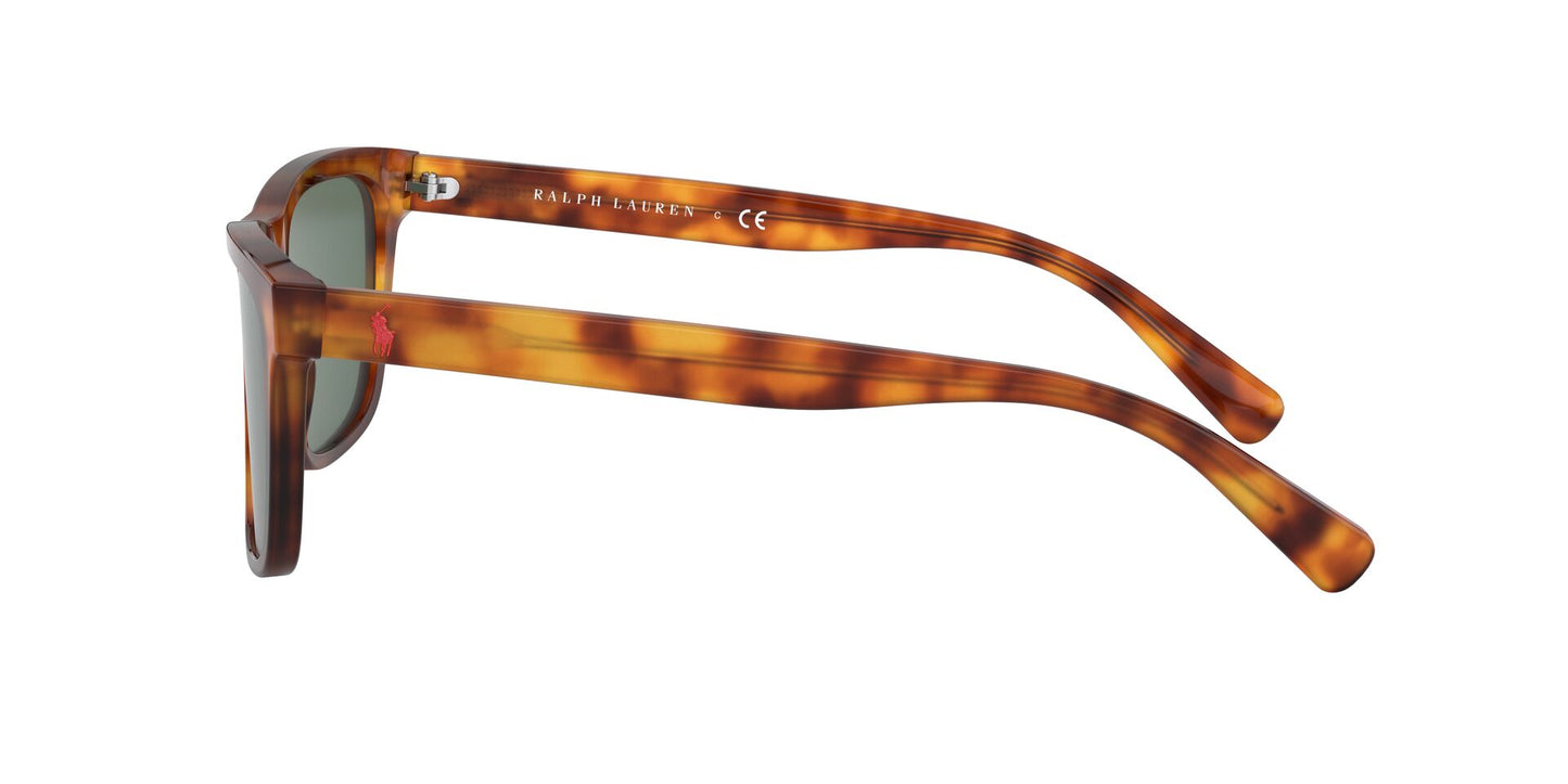 Gafas graduadas POLO 0PH4167 502371