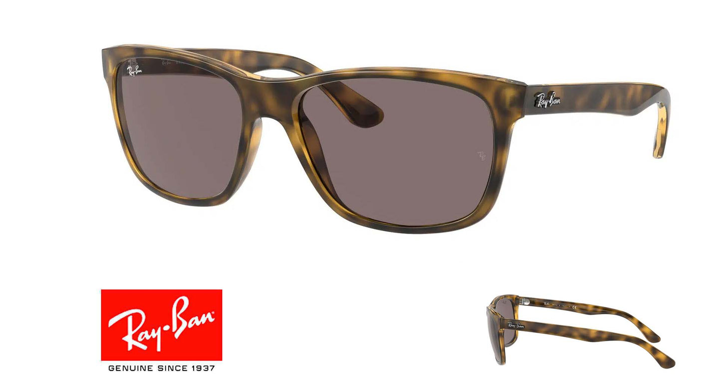 Original Ray Ban 4181 Ersatzstangen