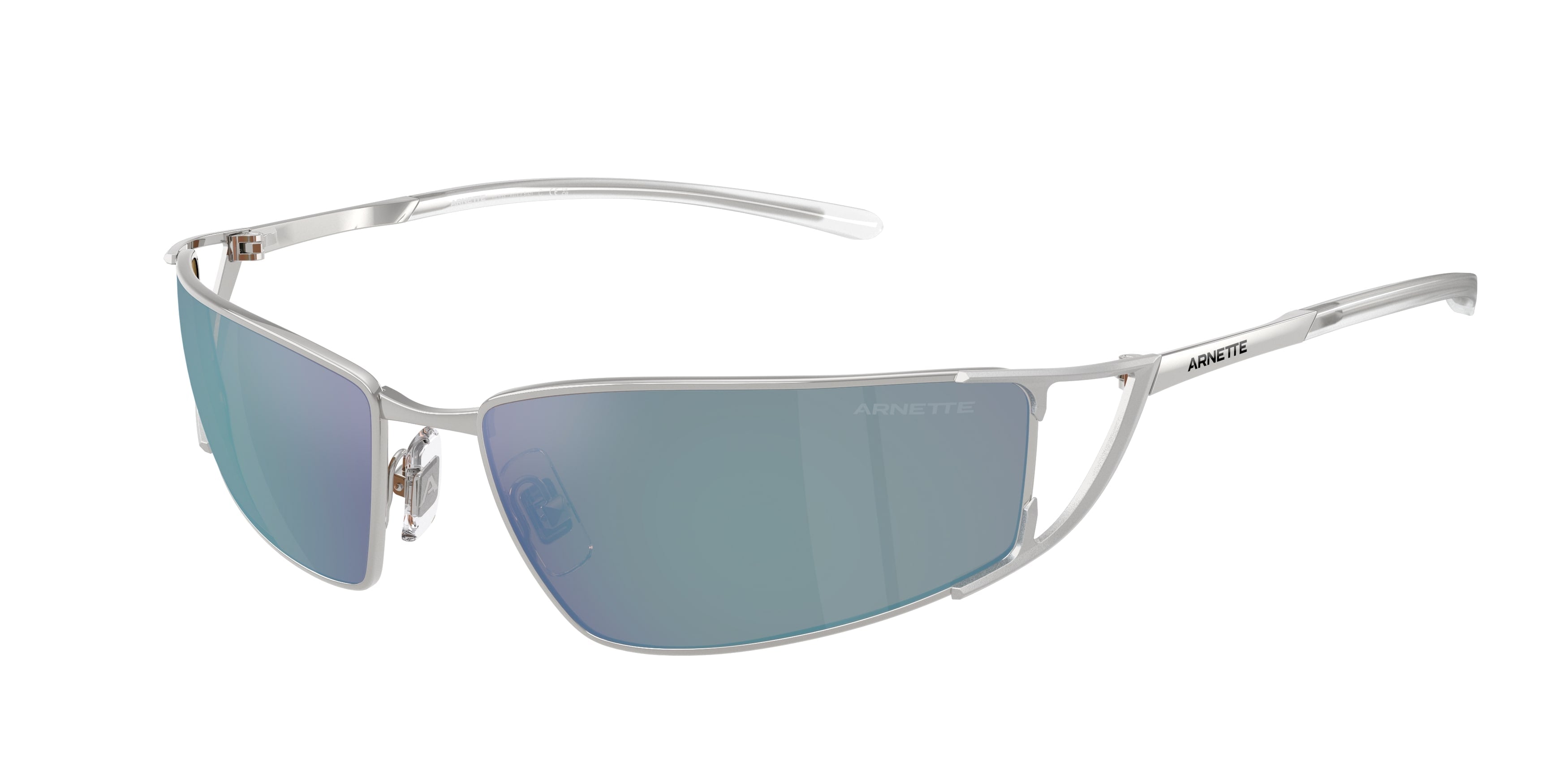 Sunglasses AN3093 736/Y7