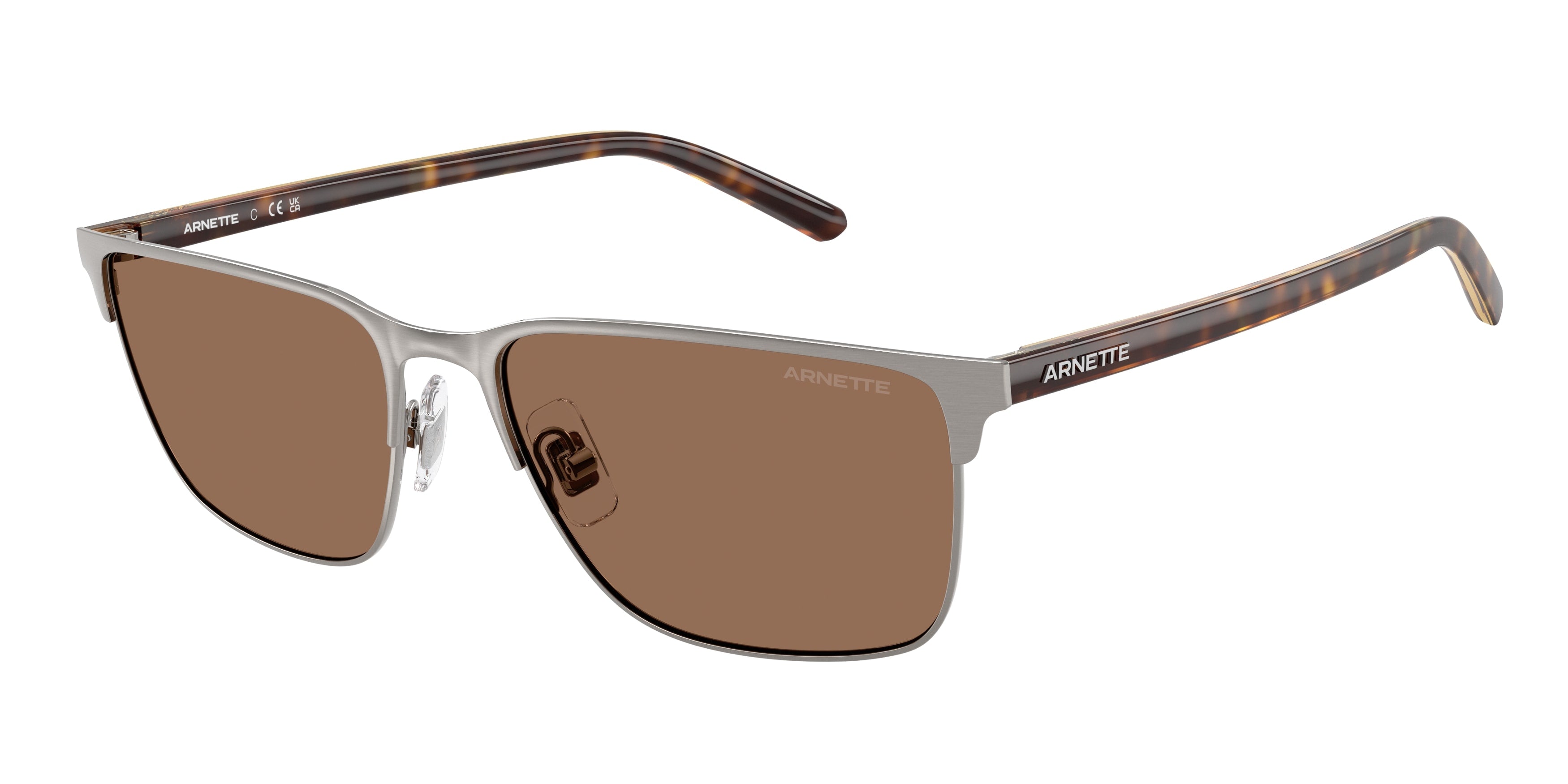 Sunglasses AN3094 738/73