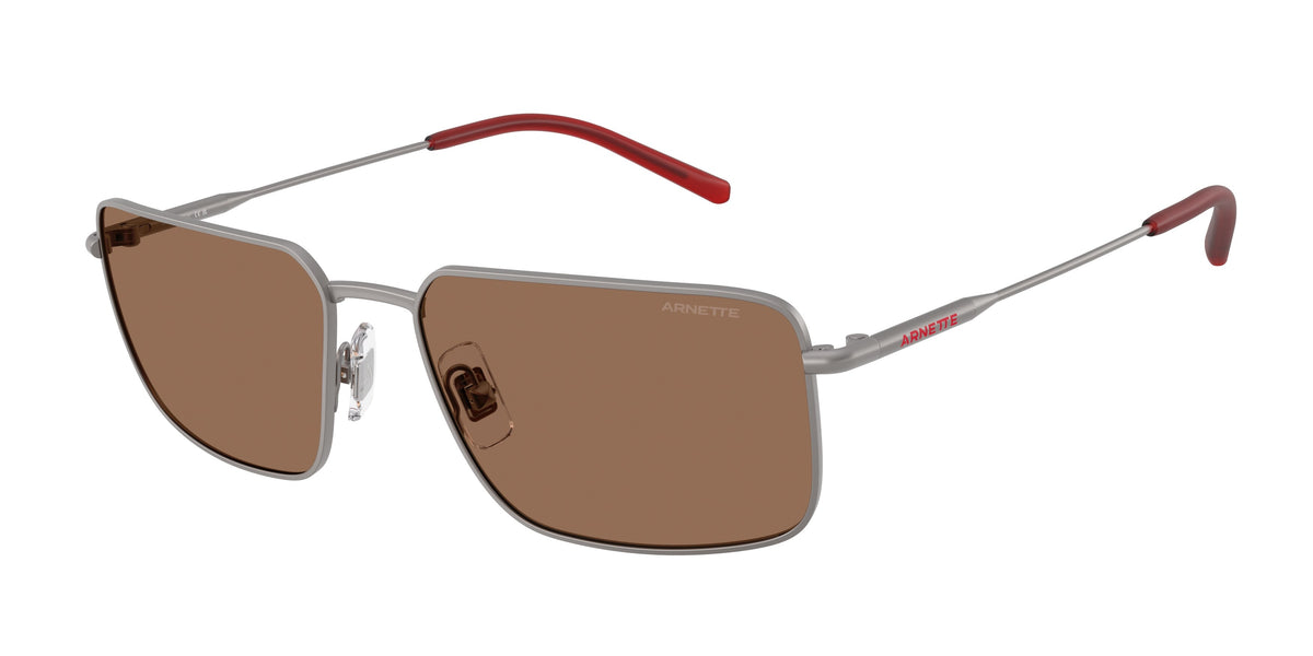 Gafas de sol Arnette AN3095 745/73