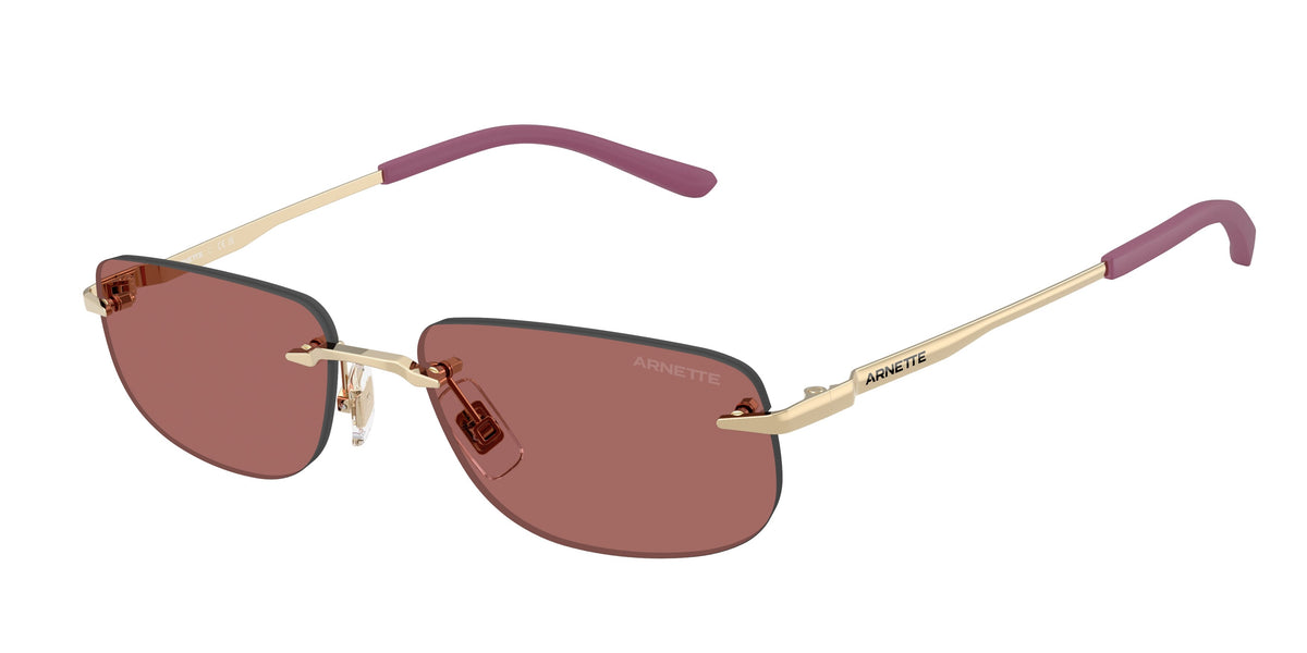 Gafas de sol Arnette AN3096 748/69