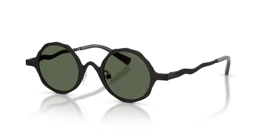 Lunettes de soleil EMPORIO ARMANI EA2166 3001/2