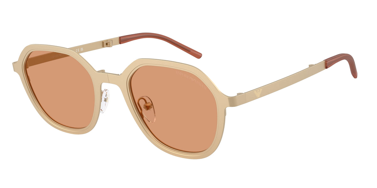 Gafas de sol Emporio Armani EA2176 3002/7