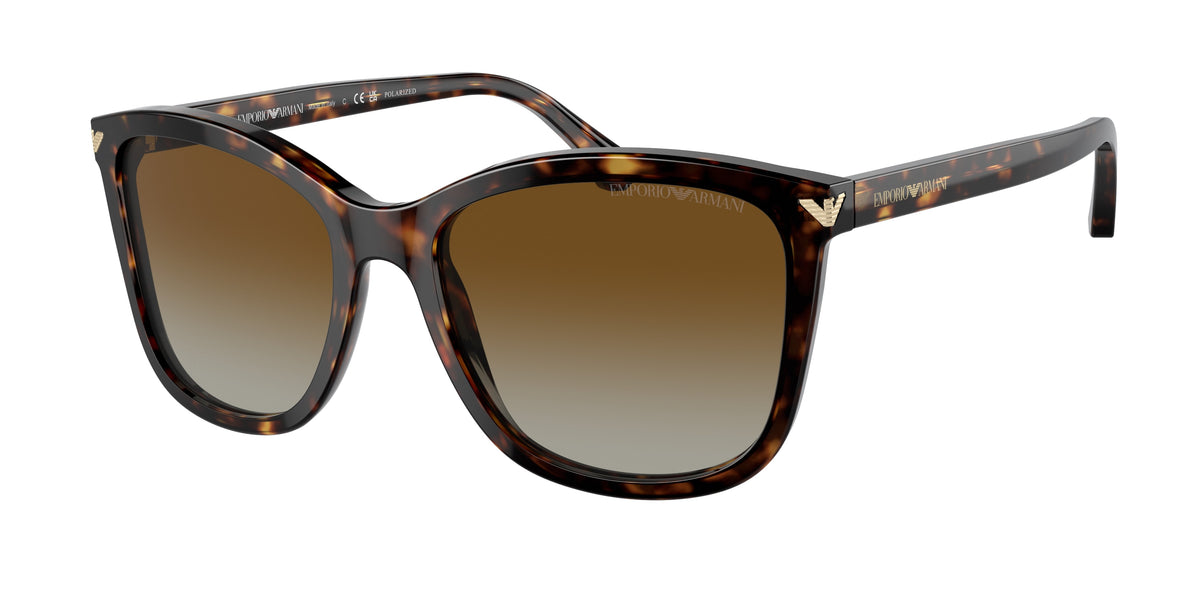 Gafas de sol Emporio Armani EA4060 5026T5