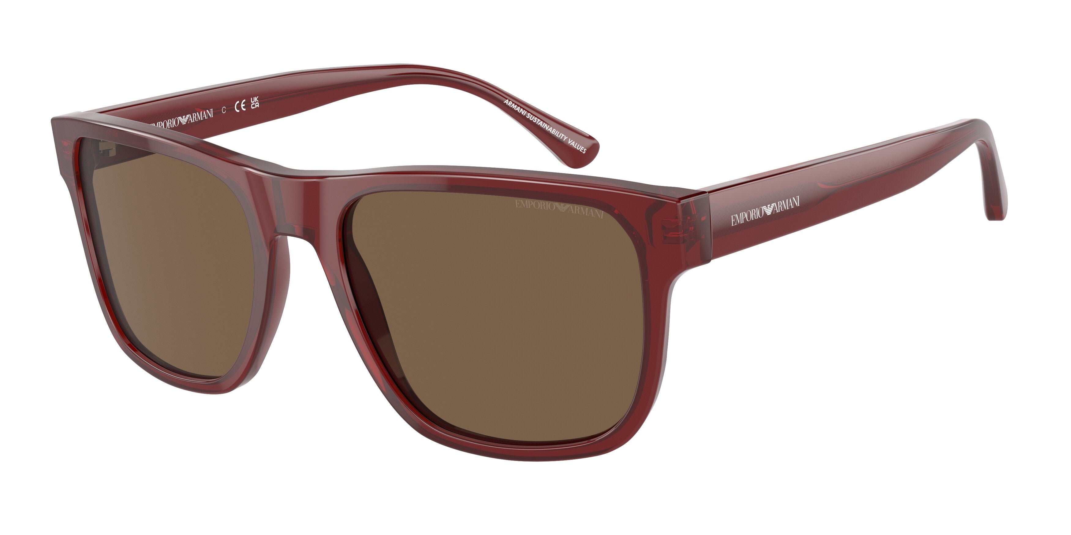 Gafas de sol EMPORIO ARMANI EA4163 507573