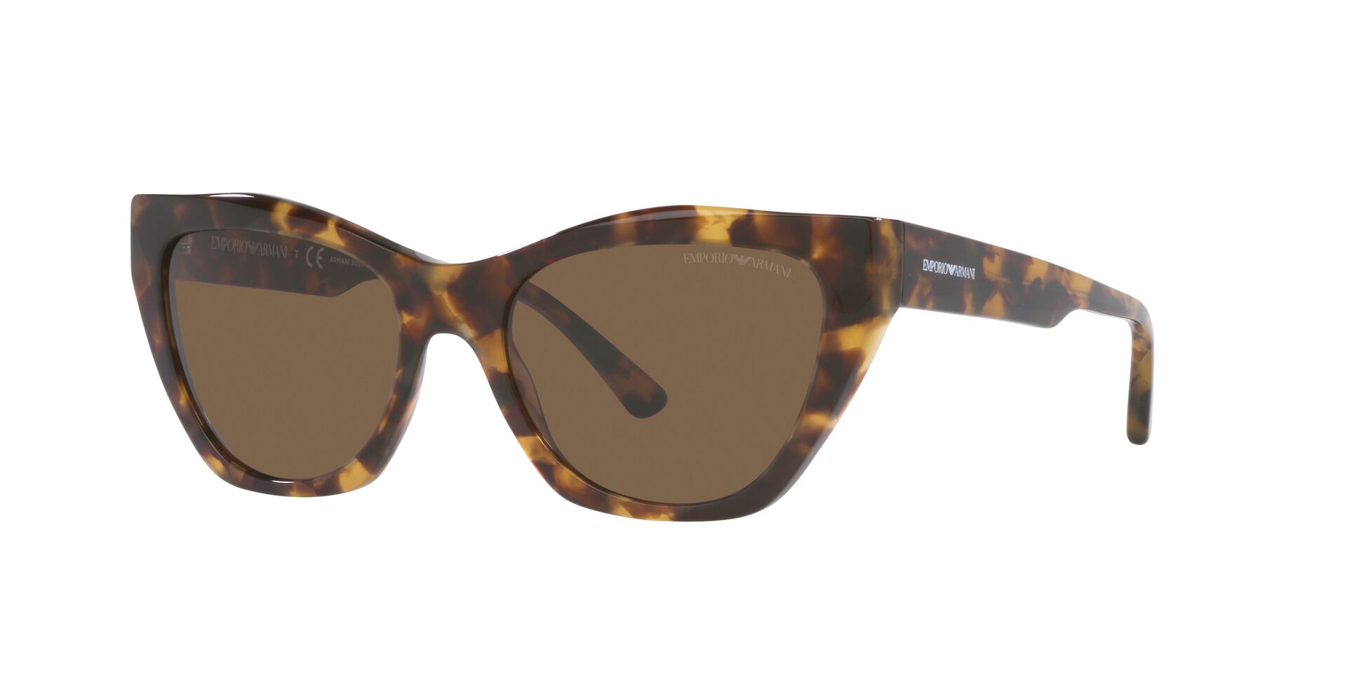 Sunglasses EMPORIO ARMANI EA4176 502573