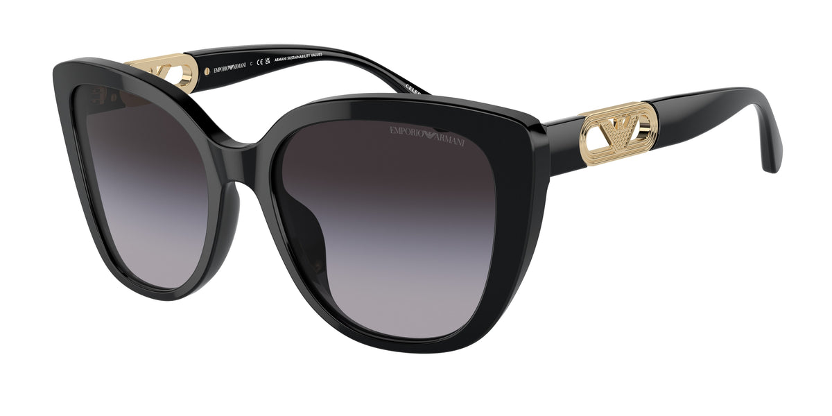Gafas de sol Emporio Armani EA4214U 53788G