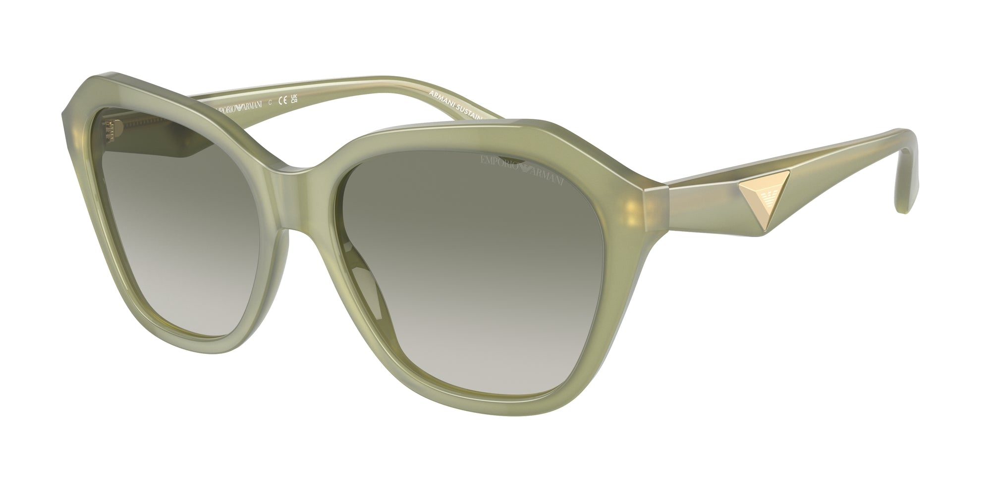 Sunglasses EMPORIO ARMANI EA4221 61168E