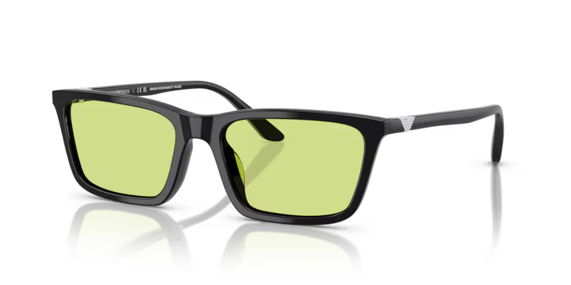 Sunglasses EMPORIO ARMANI EA4239U 5017/2