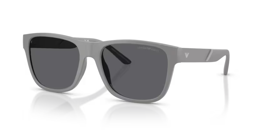 Lunettes de soleil EMPORIO ARMANI EA4243 6245/1