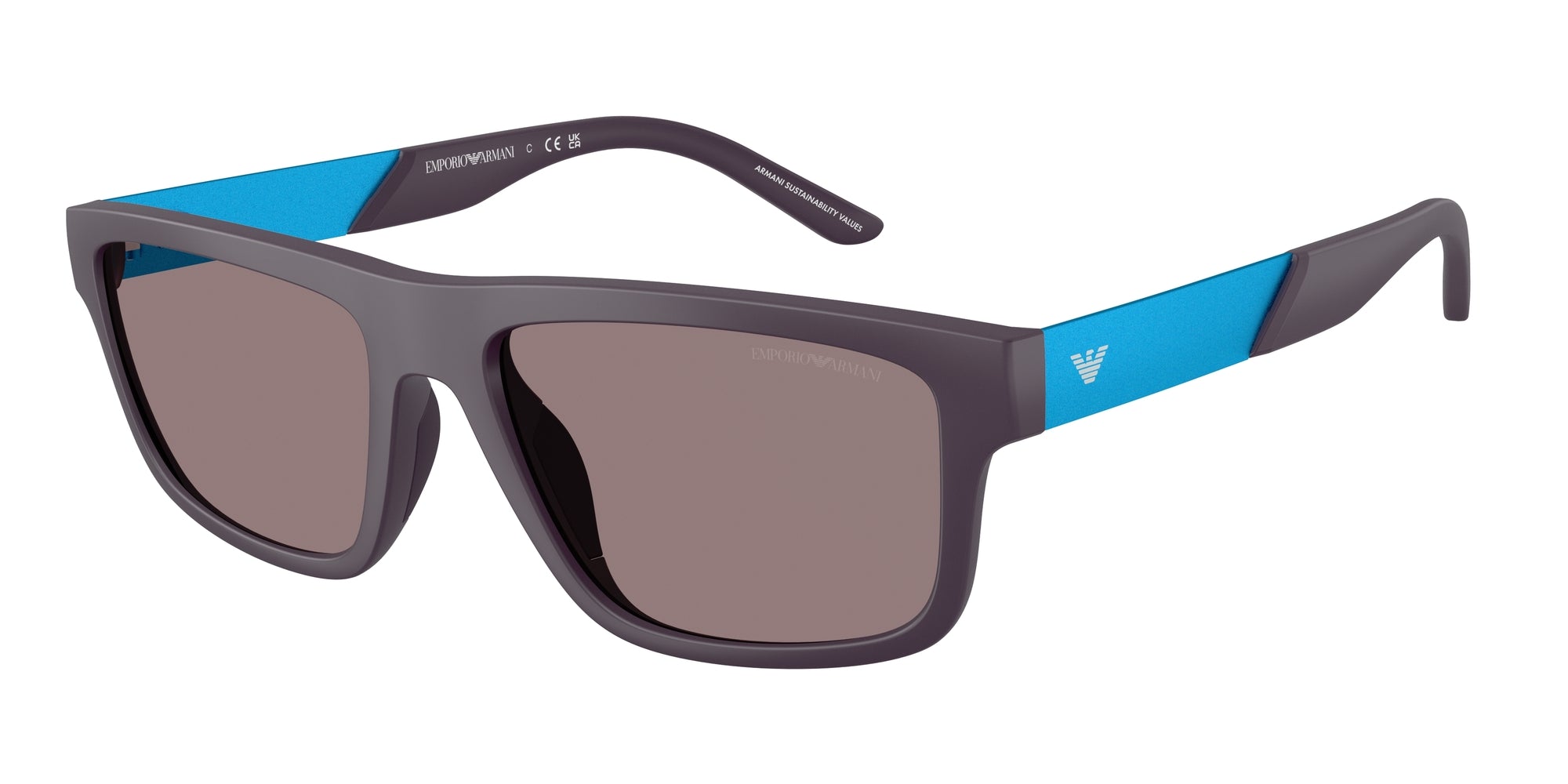 Zonnebrillen EMPORIO ARMANI EA4244U 62427N