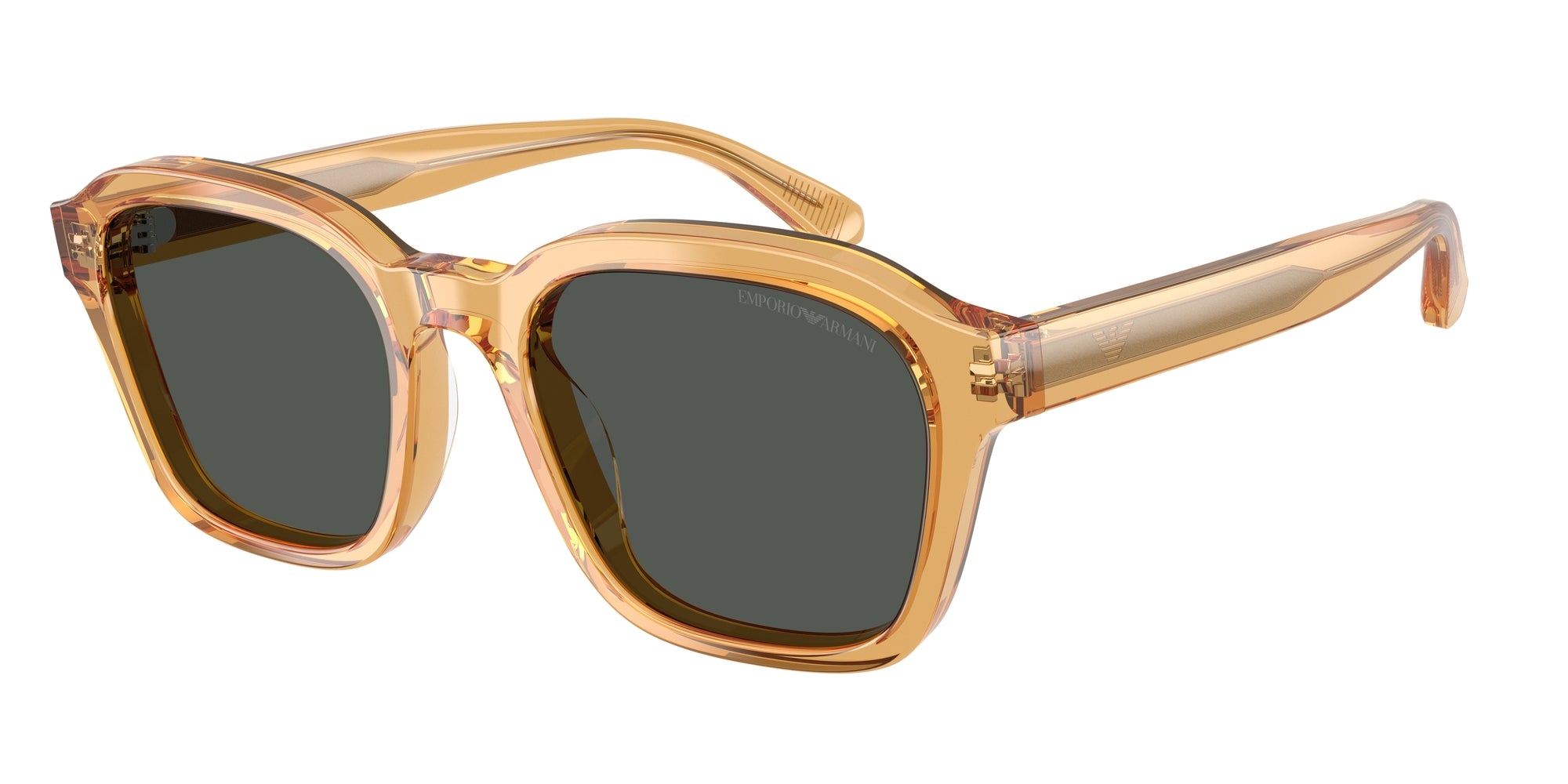 Gafas de sol EMPORIO ARMANI EA4245U 624687